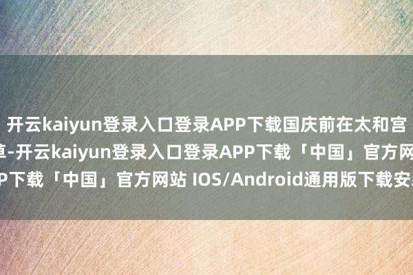 开云kaiyun登录入口登录APP下载国庆前在太和宫、温室区建树时令花草-开云kaiyun登录入口登录APP下载「中国」官方网站 IOS/Android通用版下载安装